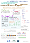 4 couleurs suffisent 4 couleurs suffisent